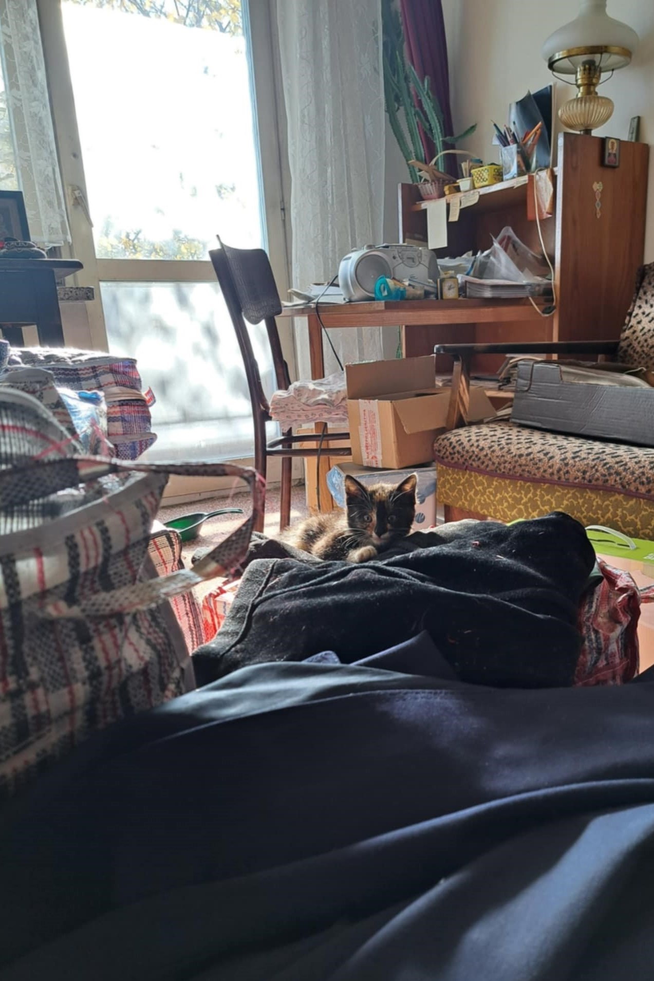 509955809_122109646532908061_9012338206182579884_n (1)